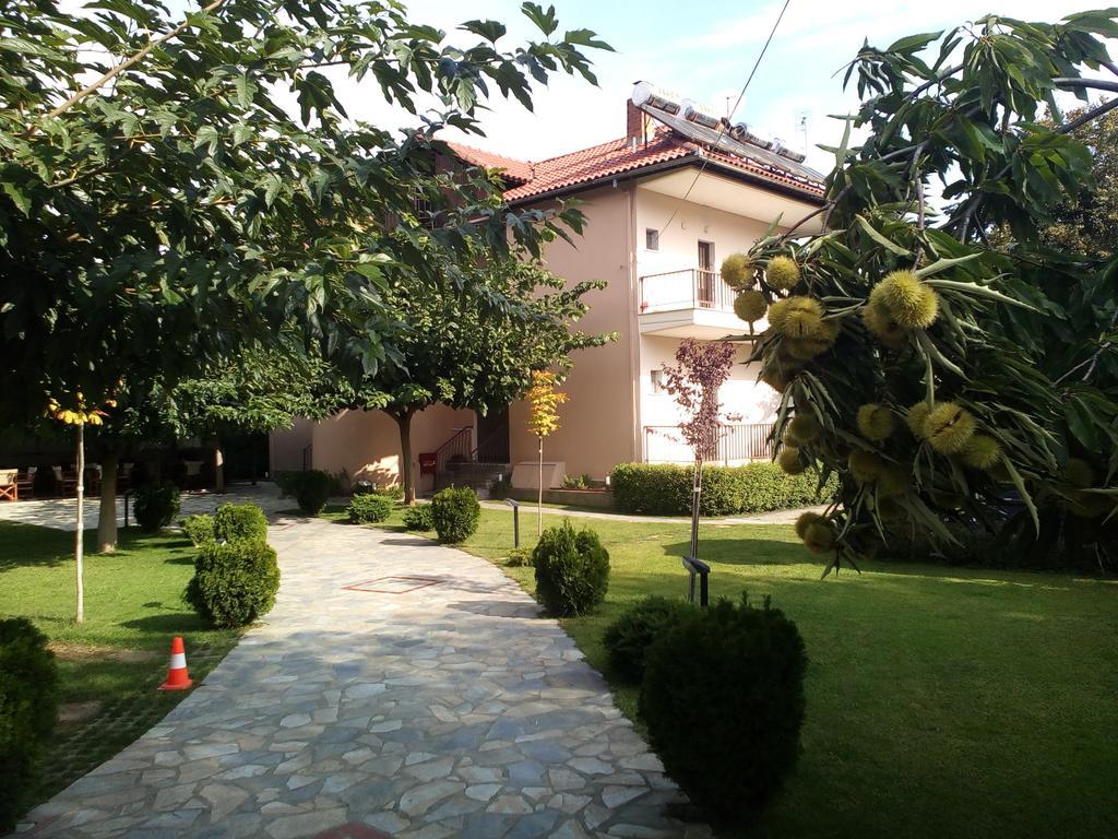 Alisachni Apartment Paralia Pantaleimonos Bagian luar foto