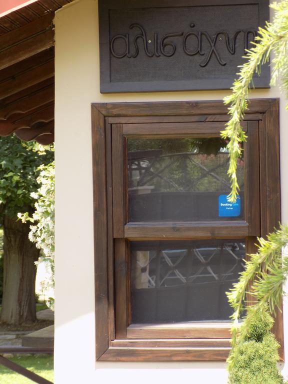 Alisachni Apartment Paralia Pantaleimonos Bagian luar foto