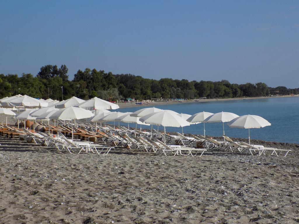 Alisachni Apartment Paralia Pantaleimonos Bagian luar foto