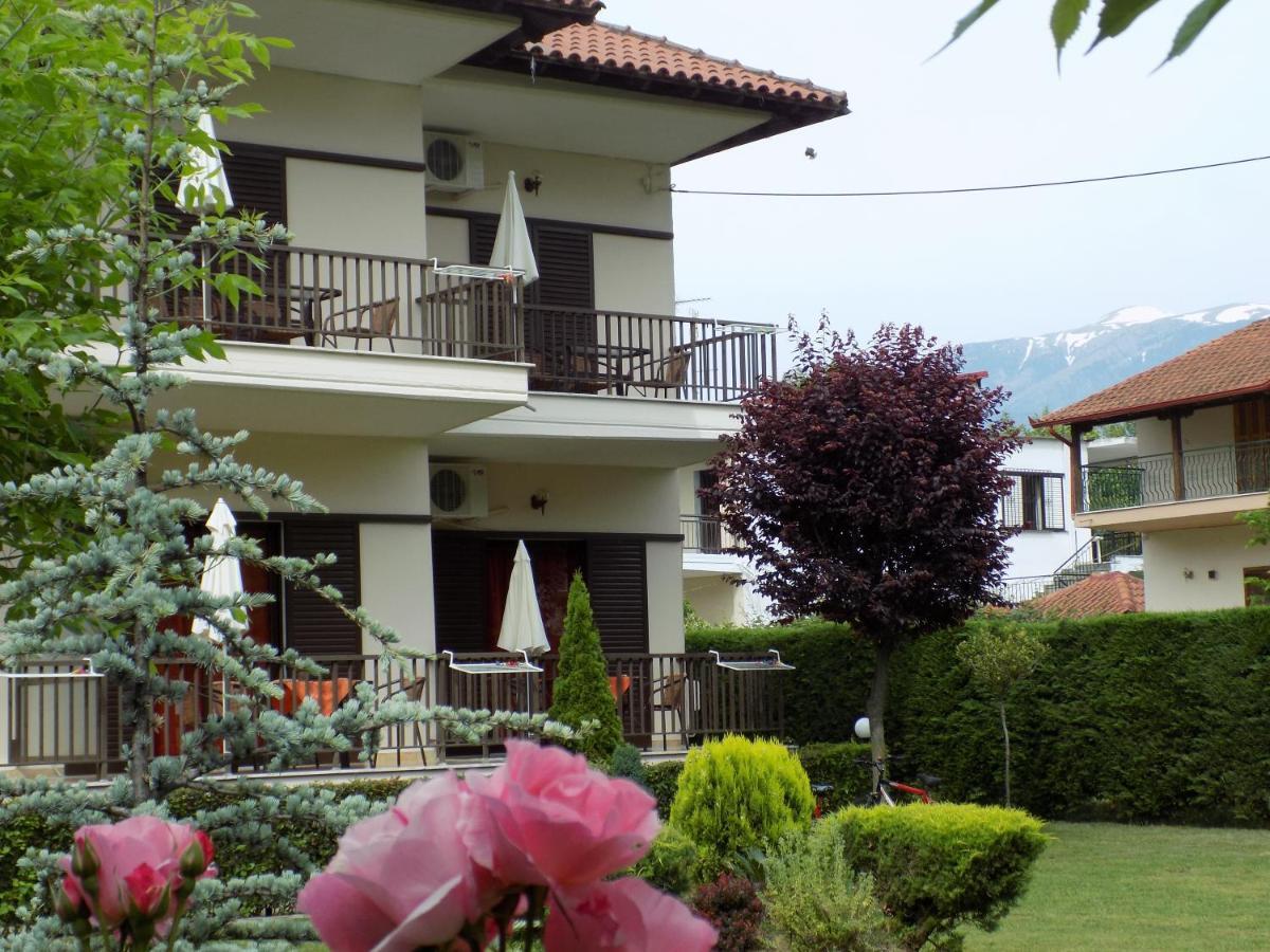 Alisachni Apartment Paralia Pantaleimonos Bagian luar foto